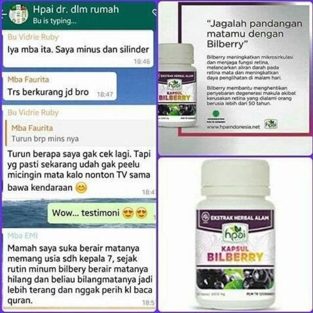 Kapsul Bilberry Hpai Nutrisi Suplemen Mata Minus Lelah Rabun Herbal
