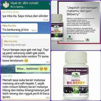 Kapsul Bilberry Hpai Nutrisi Suplemen Mata Minus Lelah Rabu Herbal Tradisional