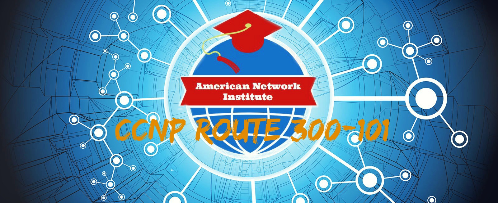 American Network Institute (ANI)