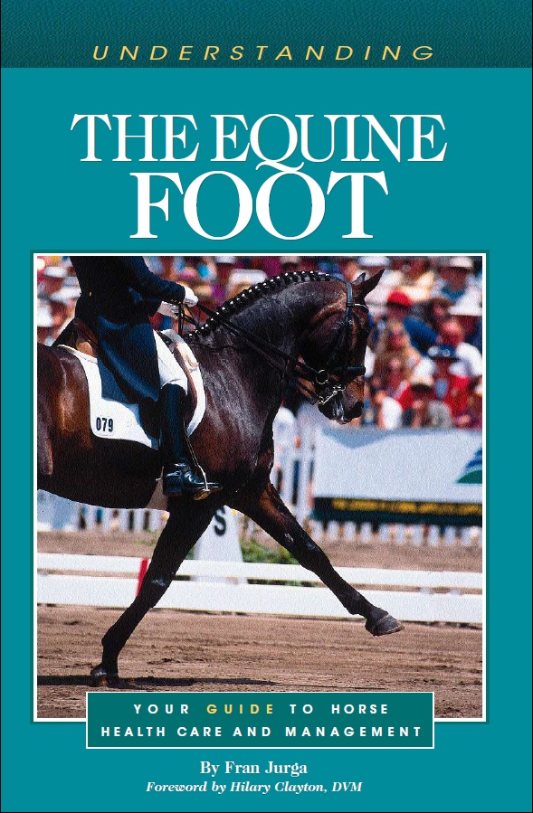 Understanding the Equine Foot