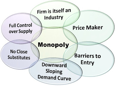 case study on monopoly market