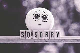 sorry quotes