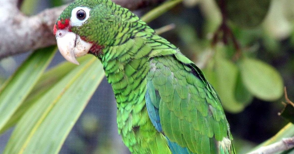 La aventura de leer y aprender...Biblioteca Escuela Miguel González