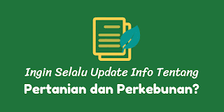 Keuntungan Memanfaatkan Paranet Untuk Peneduh & Atap Cafe