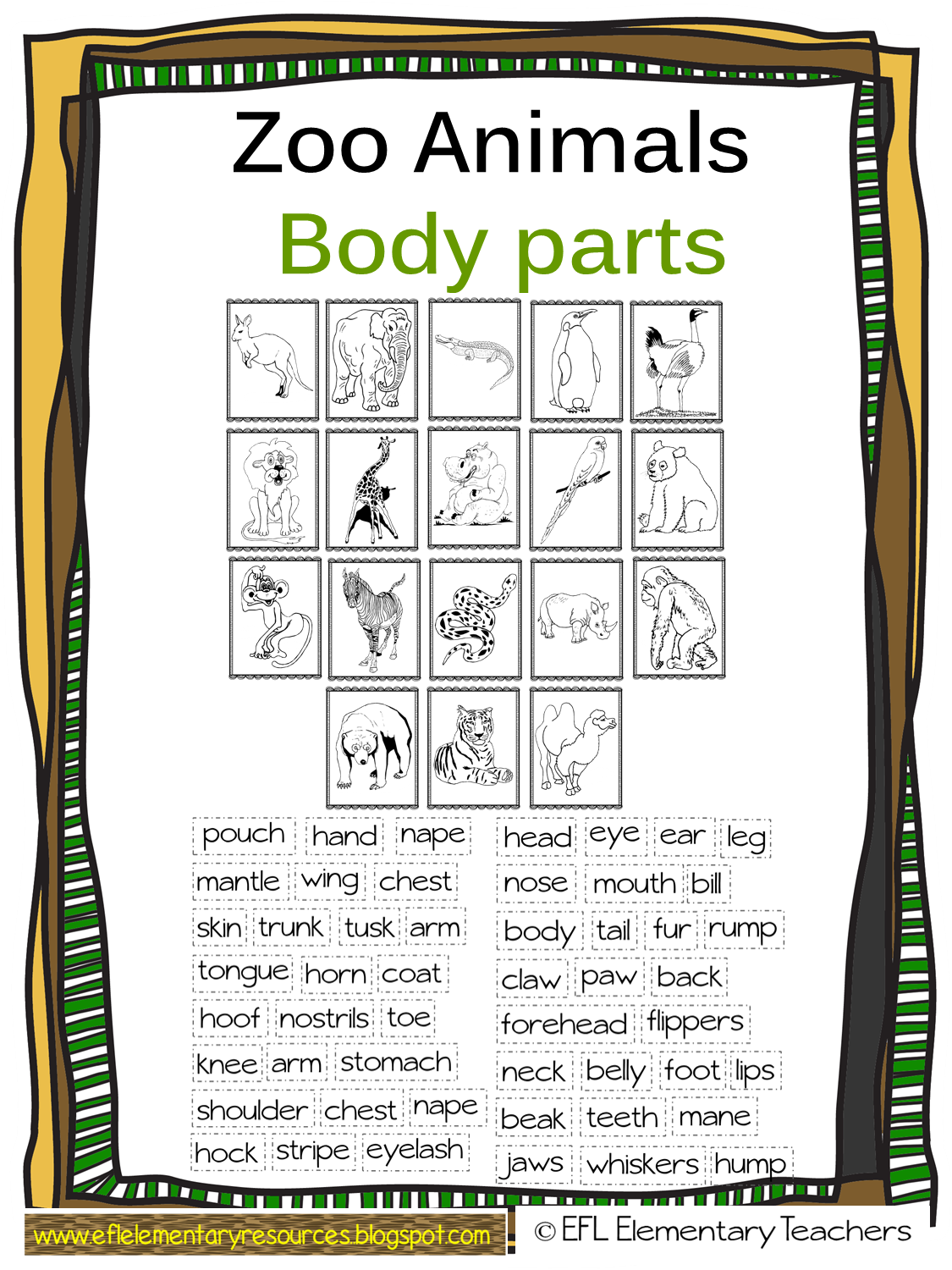 EFL Elementary Teachers Zoo Theme Resources for Elementary ESLEFLELL Part 4