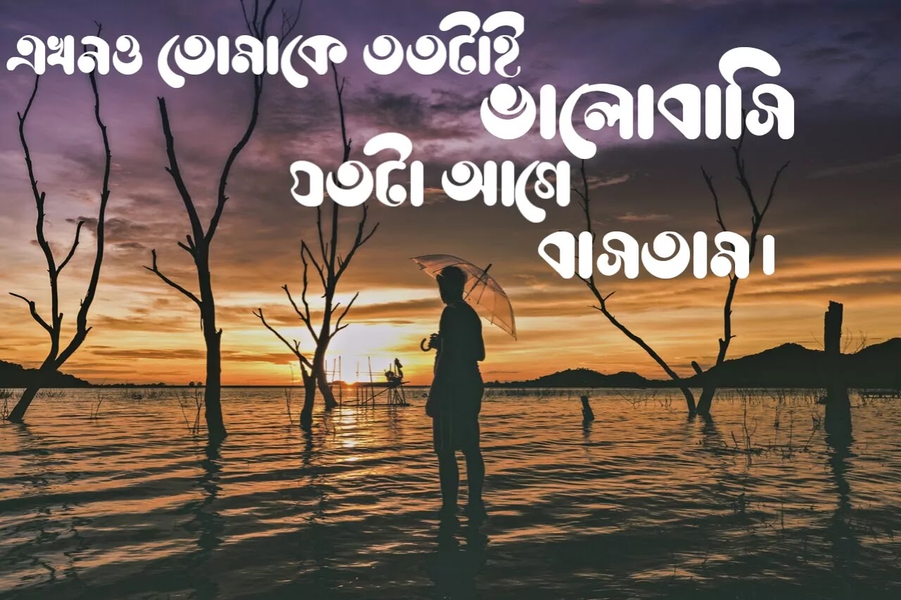 Bangla sad status for Whatsapp Bangla sad status for Whatsapp