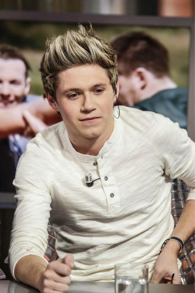 Dafi And The Potatoes D Biodata Niall Horan (One Direction)