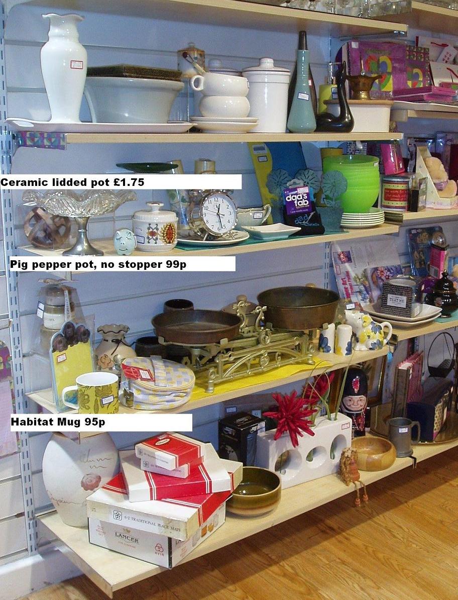 custardino Charity Shopping in Derby