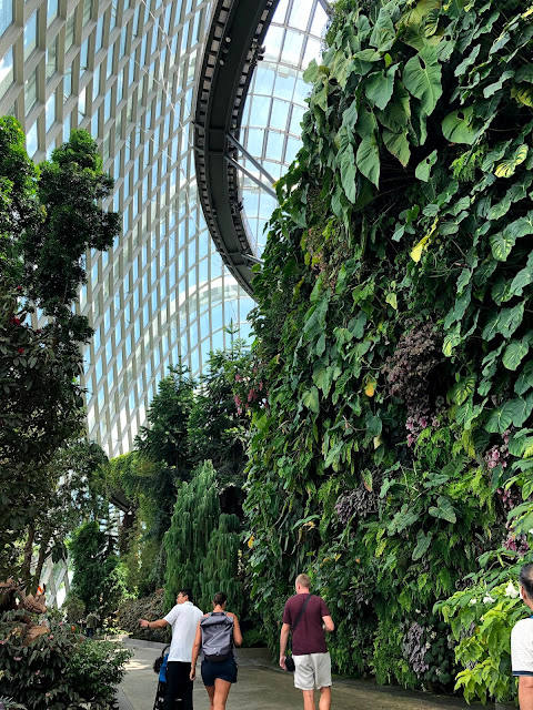 Cloud Forest Garden by The Bay Singapore - habisliburan.com