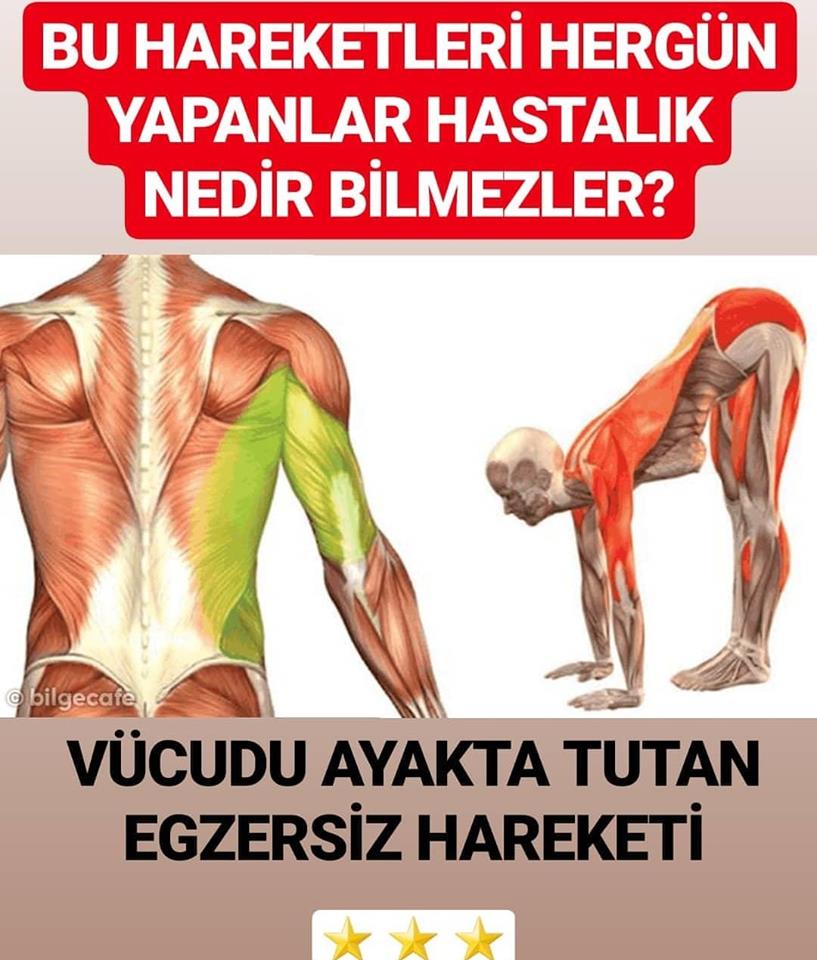 Bu Hareketleri Her Gün Yapanlar Hastalık Nedir Bilmezler Pratik Tarifim