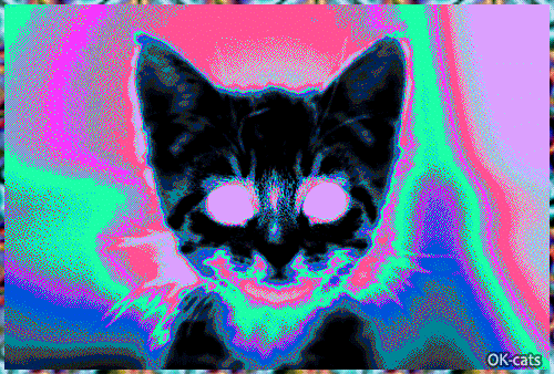Art%2BCat%2BGIF%2B%25E2%2580%25A2%2B%2BPsychedelic%2Btrippy%2B%2Bhigh%2Bon%2Bcatnip.%2BToo%2Bmuch%2Bcatnip%2B%2Bis%2Btoo%2Bmuch%2B%255BHigh%2Bspeed%255D.gif