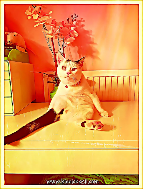 Smooch's Schlumpy Selfie ©BionicBasil® Caturday Art