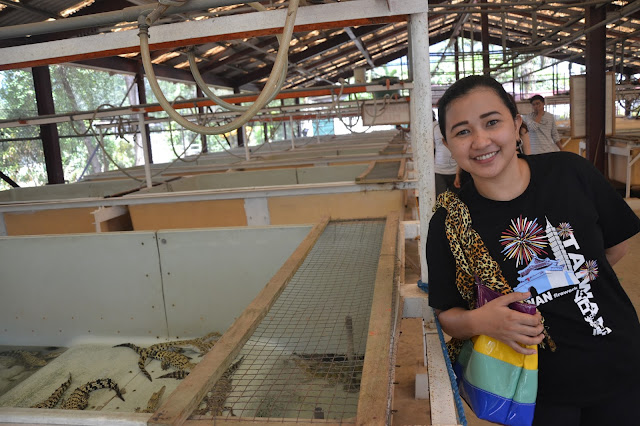 thingstodoinsingapore: Palawan: Palawan Wildlife Rescue in addition to Conservation Center Located inwards Barangay Irawan inwards Puerto Princesa City inwards Palawan thingstodoinsingapore: Palawan: Palawan Wildlife Rescue in addition to Conservation Center