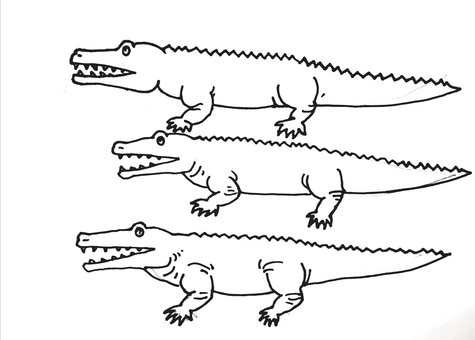 Karikaturku Indonesia Tema Binatang Buas Buaya