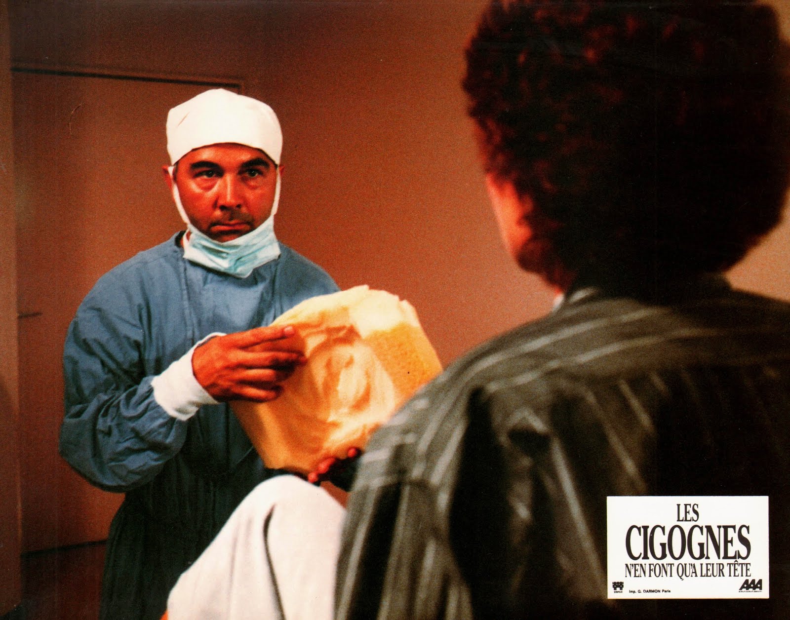 Les cigognes n'en font qu'à leur tête (1988) Didier Kaminka - Les cigognes n'en font qu'à leur tête