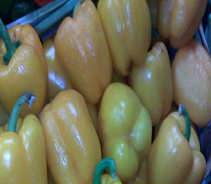 Jauh Perjalanan Luas Pengalaman : Luas pandangan jauh perjalanan mp3 & mp4.