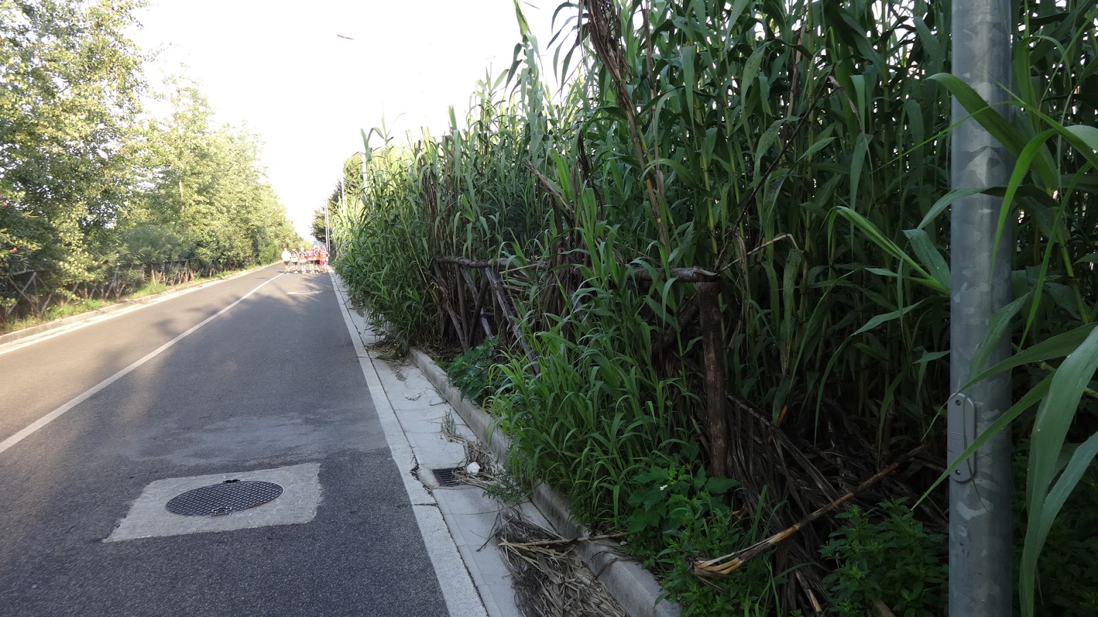 Dedicata a Carlo III di Borbone la strada che costeggia l’alveo Camaldoli