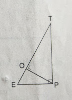 gambar segitiga TEP