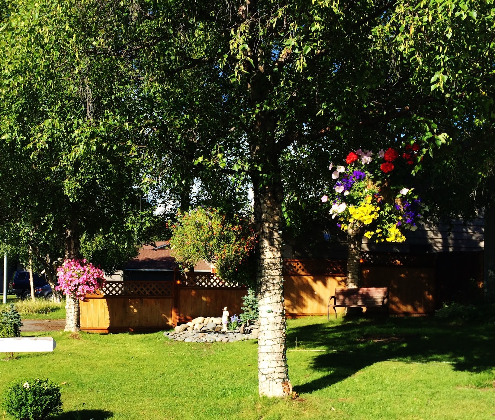 Swallowed Fly Crusades Hanging Baskets in Anchorage
