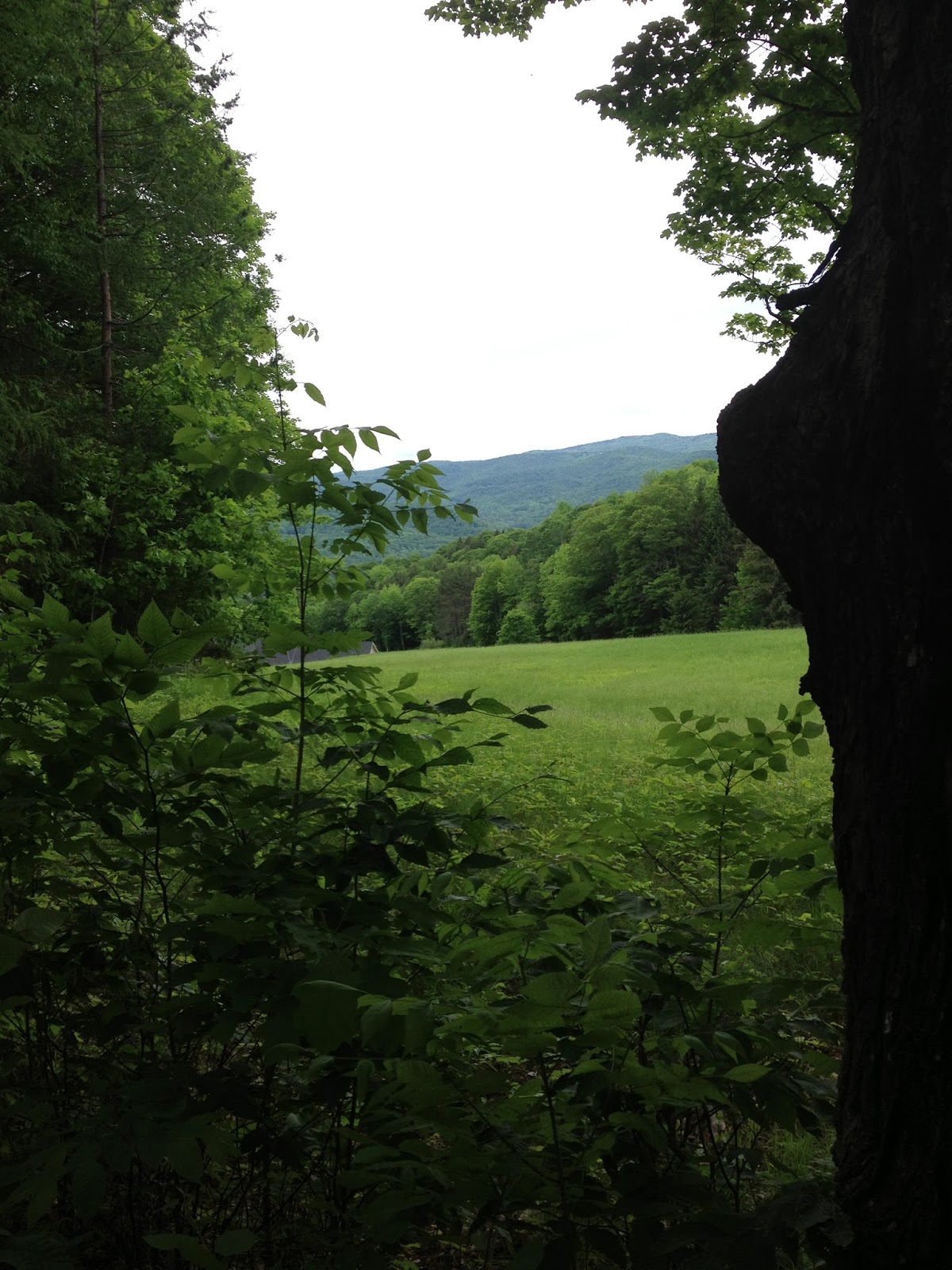 Sprouts Hiking Mt. Tom in Woodstock Vermont