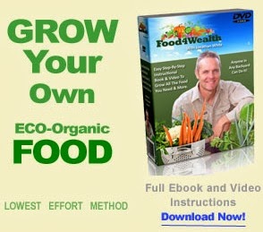 Grow Your Own Food