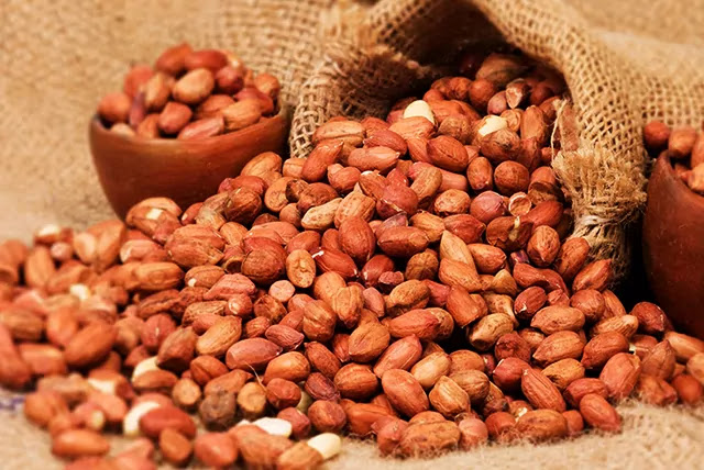 peanut farmers are waiting for the good peanut apmc market price of groundnut market till the demand for groundnut oil market price goes up agriculture in Gujarat peanut market peanut farmers are waiting for the good peanut apmc market price of groundnut market till the demand for groundnut oil market price goes up agriculture in Gujarat peanut market