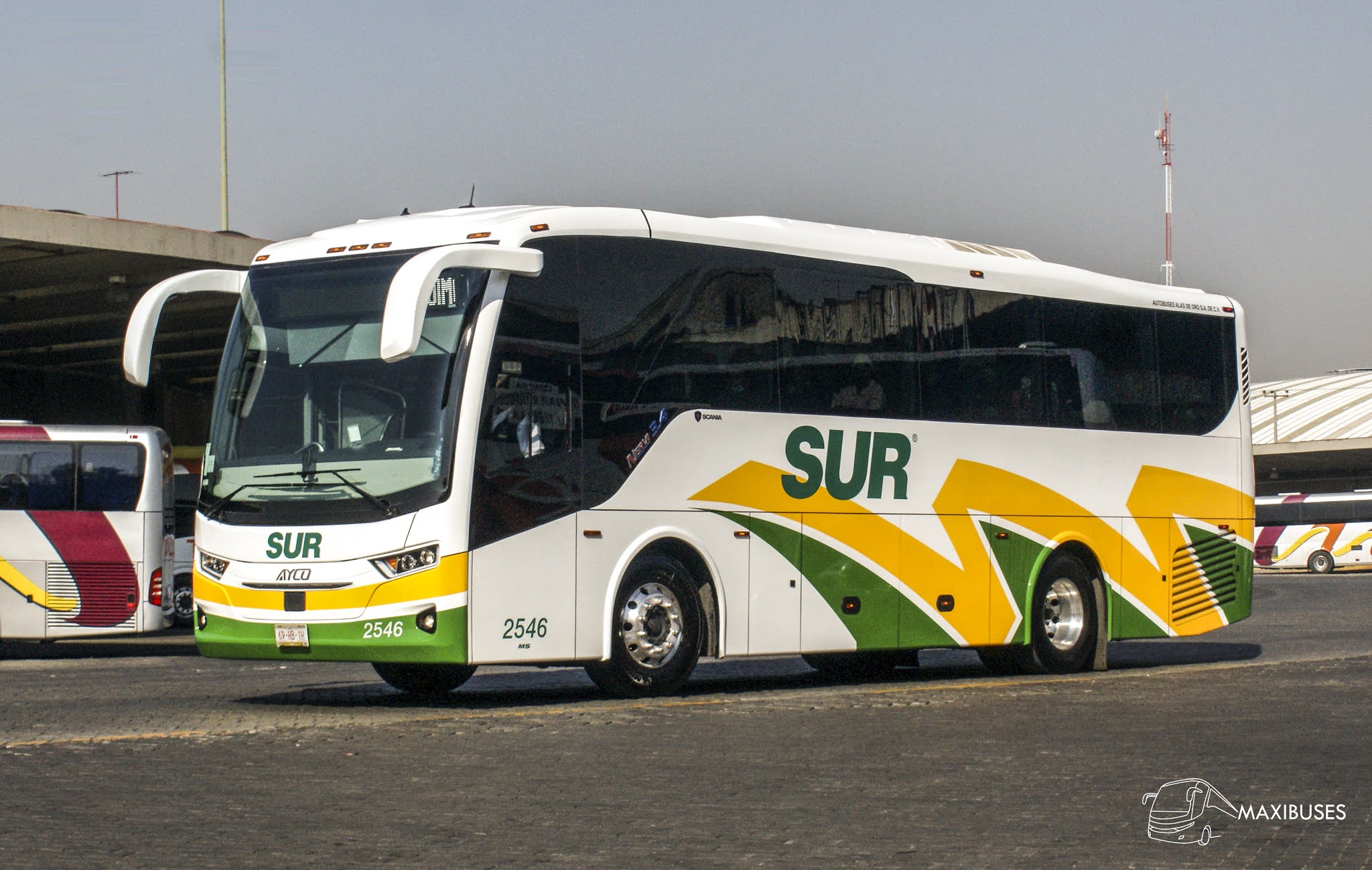 MAXIBUSES AUTOBUSES DEL SUR MAXIBUSES AUTOBUSES DEL SUR