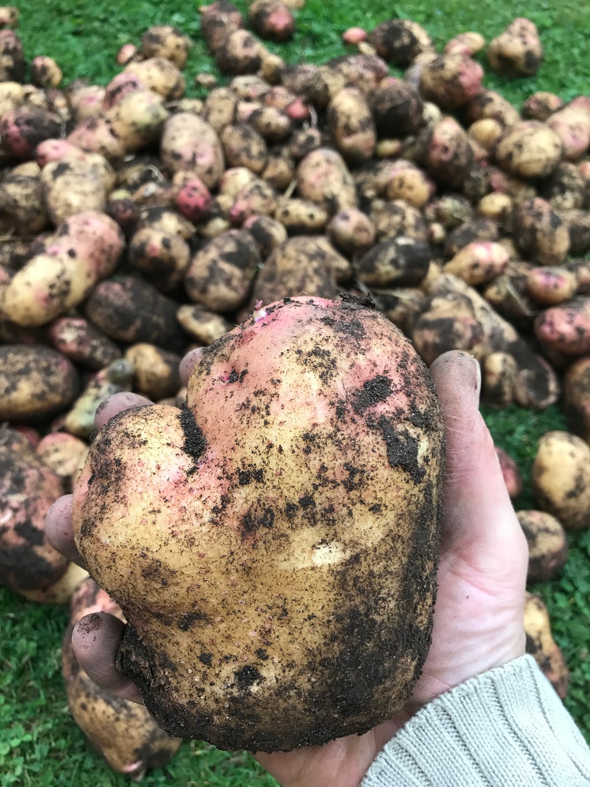Kartenzauber Und Mehr Dies Ist Ein Herbsttag Von Christian