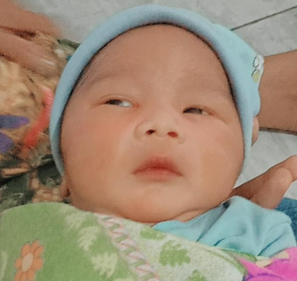 Kambing dengan Sapi untuk Aqiqah