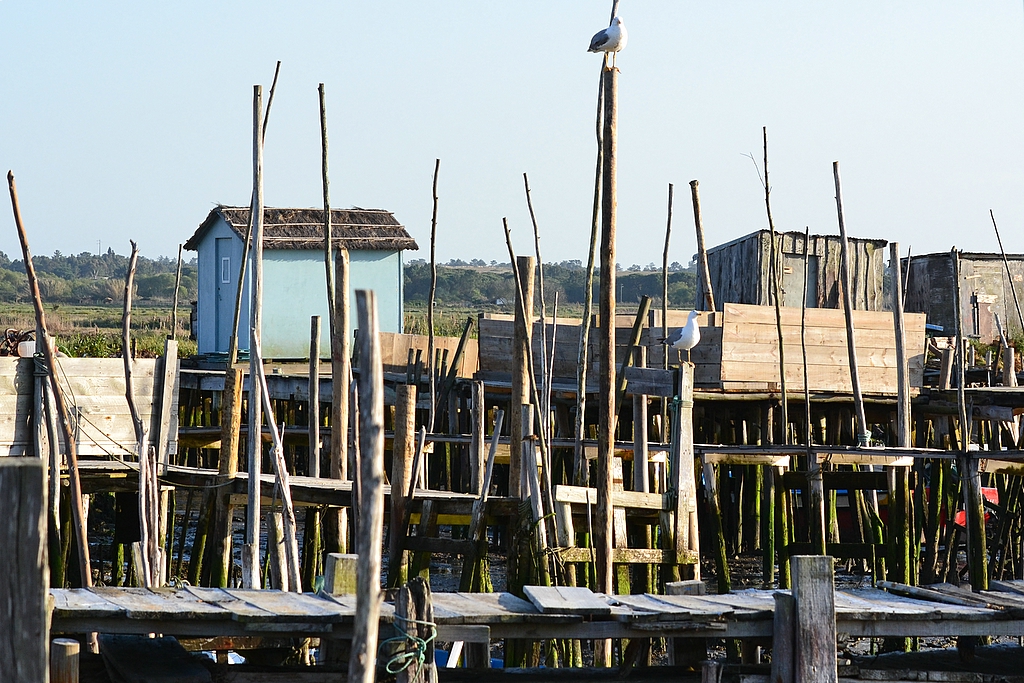 Porto palafítico da Carrasqueira