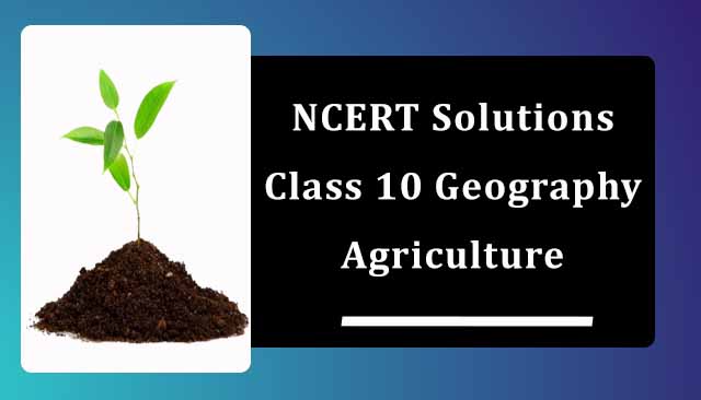 NCERT Solutions for Class 10 Geography Chapter 4 Agriculture NCERT Solutions for Class 10 Geography Chapter 4 Agriculture