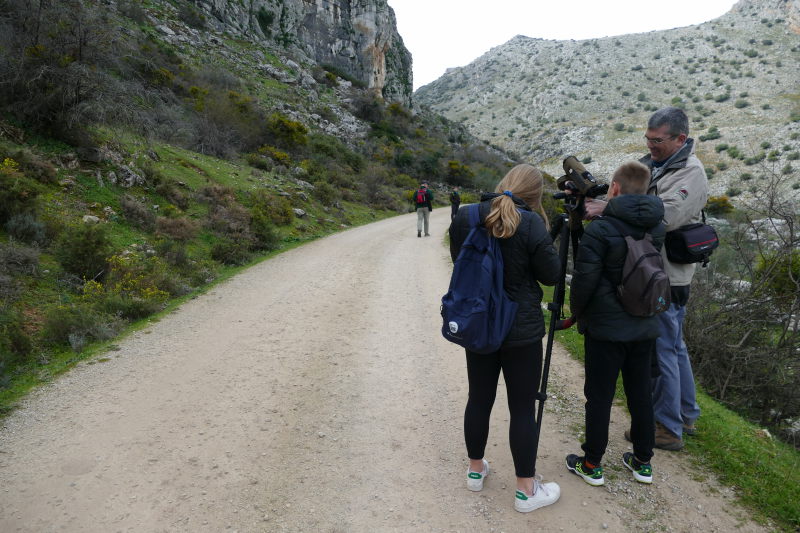 Buscando águilas perdiceras. Serranía Ronda. AEA Bosque Animado