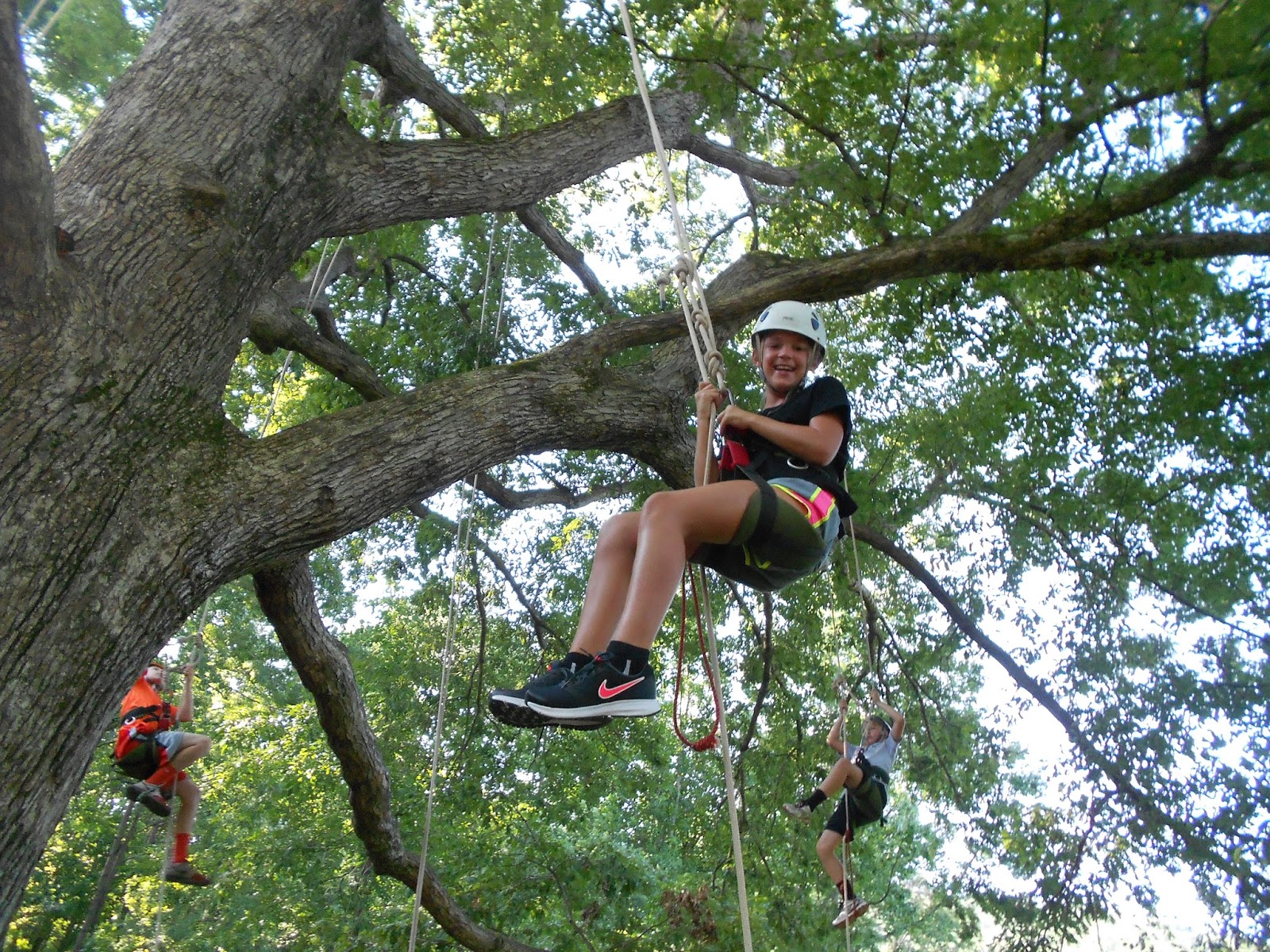 Tree climbing near me deals