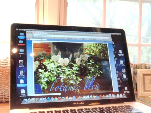 mac-laptop-blog-home-page-screen