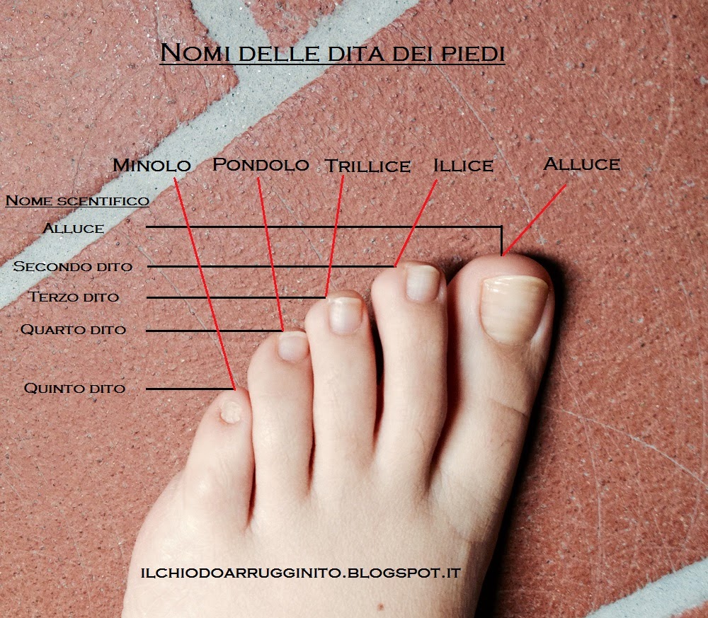 Quali sono i nomi delle dita