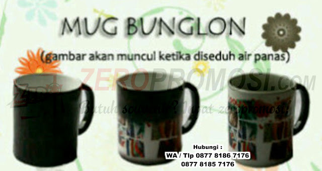 Jual Mug Bunglon Magic Custom Premium