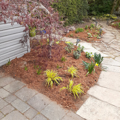 Toronto Garden Makeover After in Mount Pleasant East by Paul Jung--a Toronto Organic Gardener