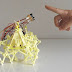 Bir Arduino İle Evcilleştirilen Ve Hareket Kontrollerini Yapan Bir Elektronik Strandbeest