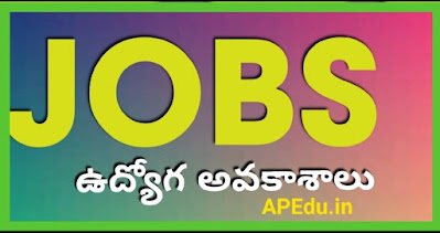 IBPS Recruitment 2021- Notification Released for 5830 Clerk Posts – Apply Now