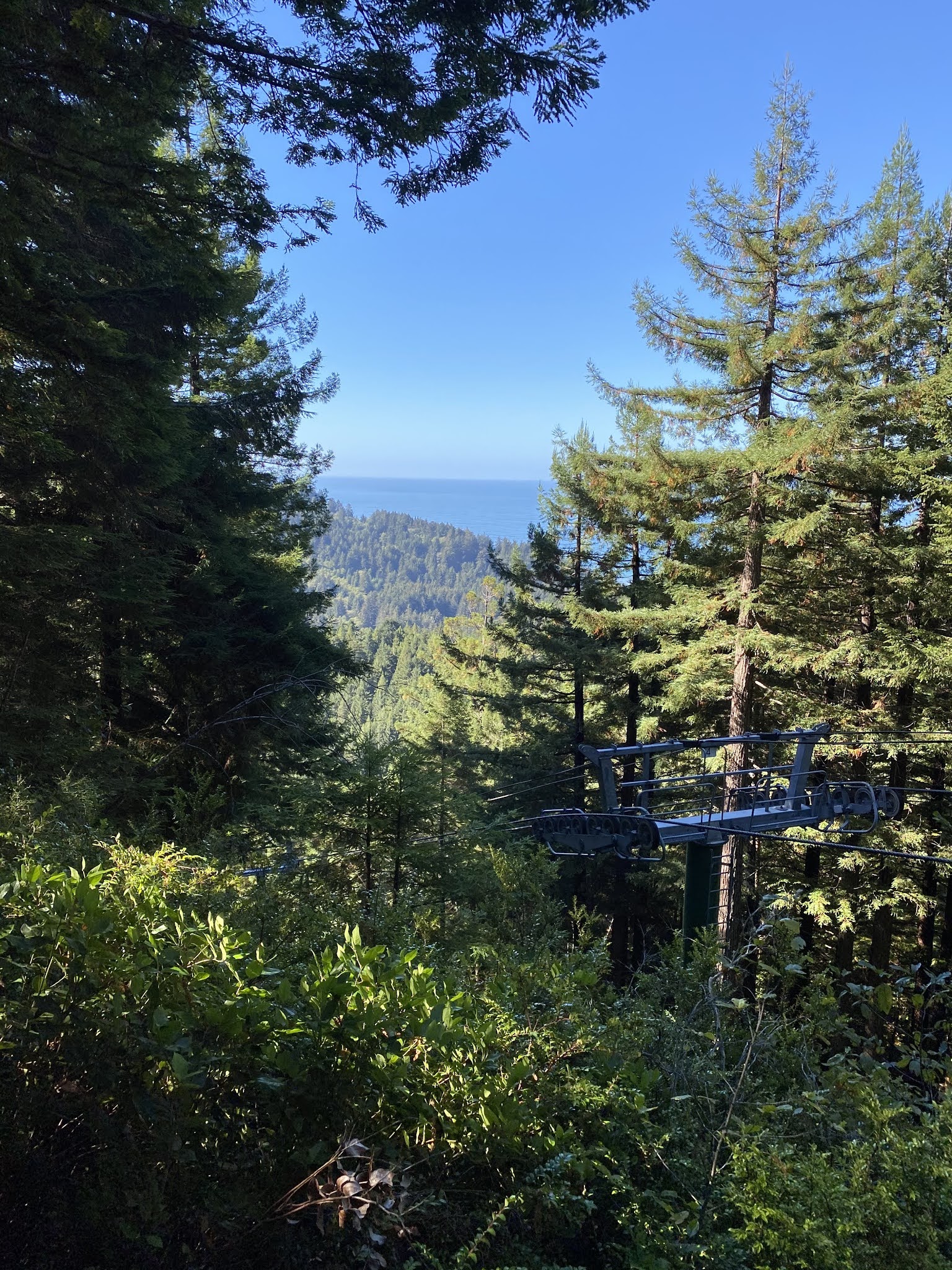 Trees of Mystery; a US Route 101 Landmark