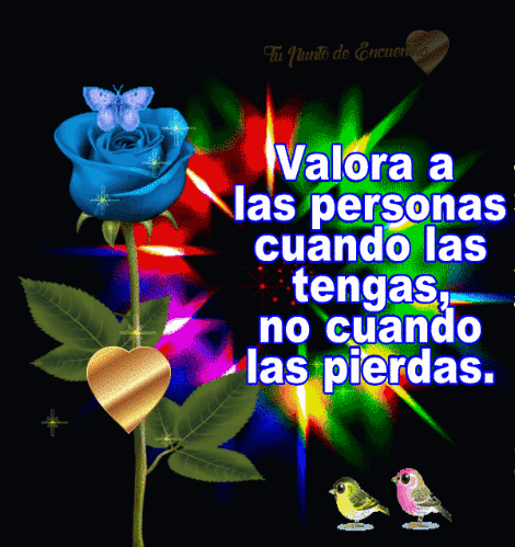 miel gifs: Reflexión