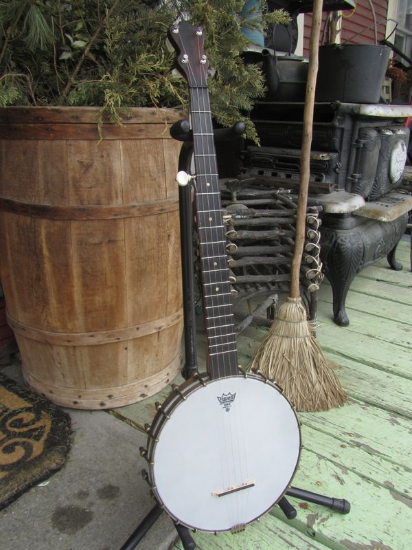 lyon and healy banjo skin lyon and healy banjo skin