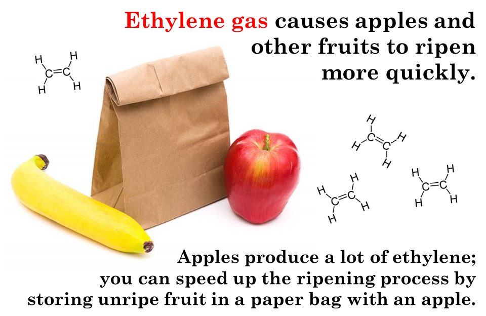 отличие fast от quick. Faster или quicker. Quicker more quickly. Fast quickly разница. More quickly.