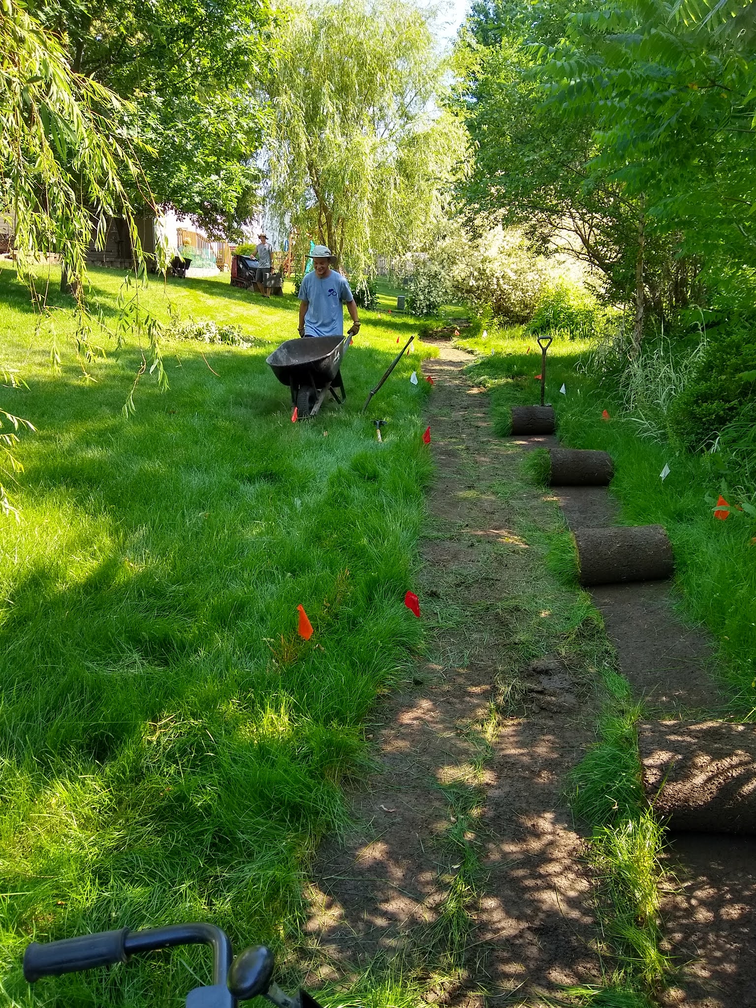 Abundant Design Drainage Easement Makeover, Naturally