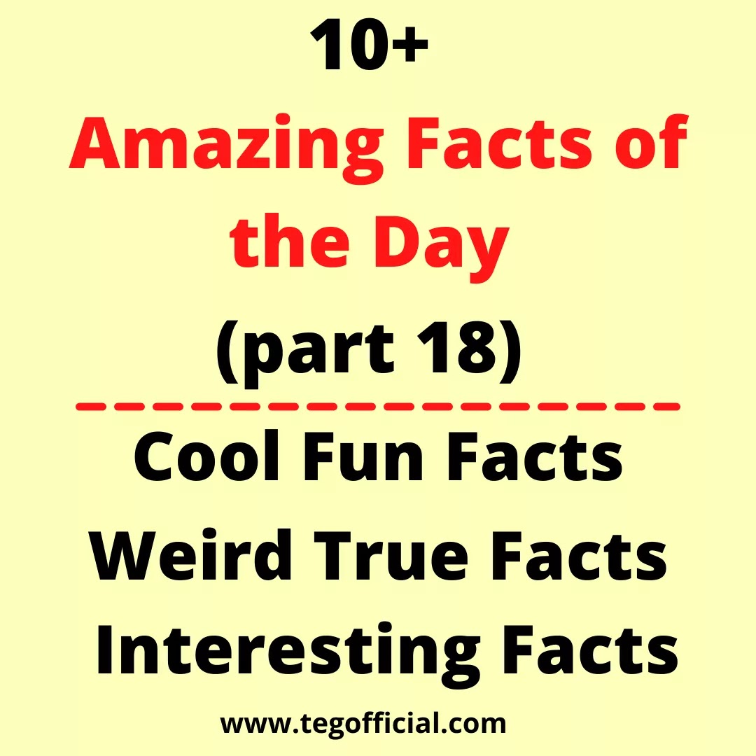 10+ Amazing Facts of the Day (part 18) Cool Fun Facts Weird True