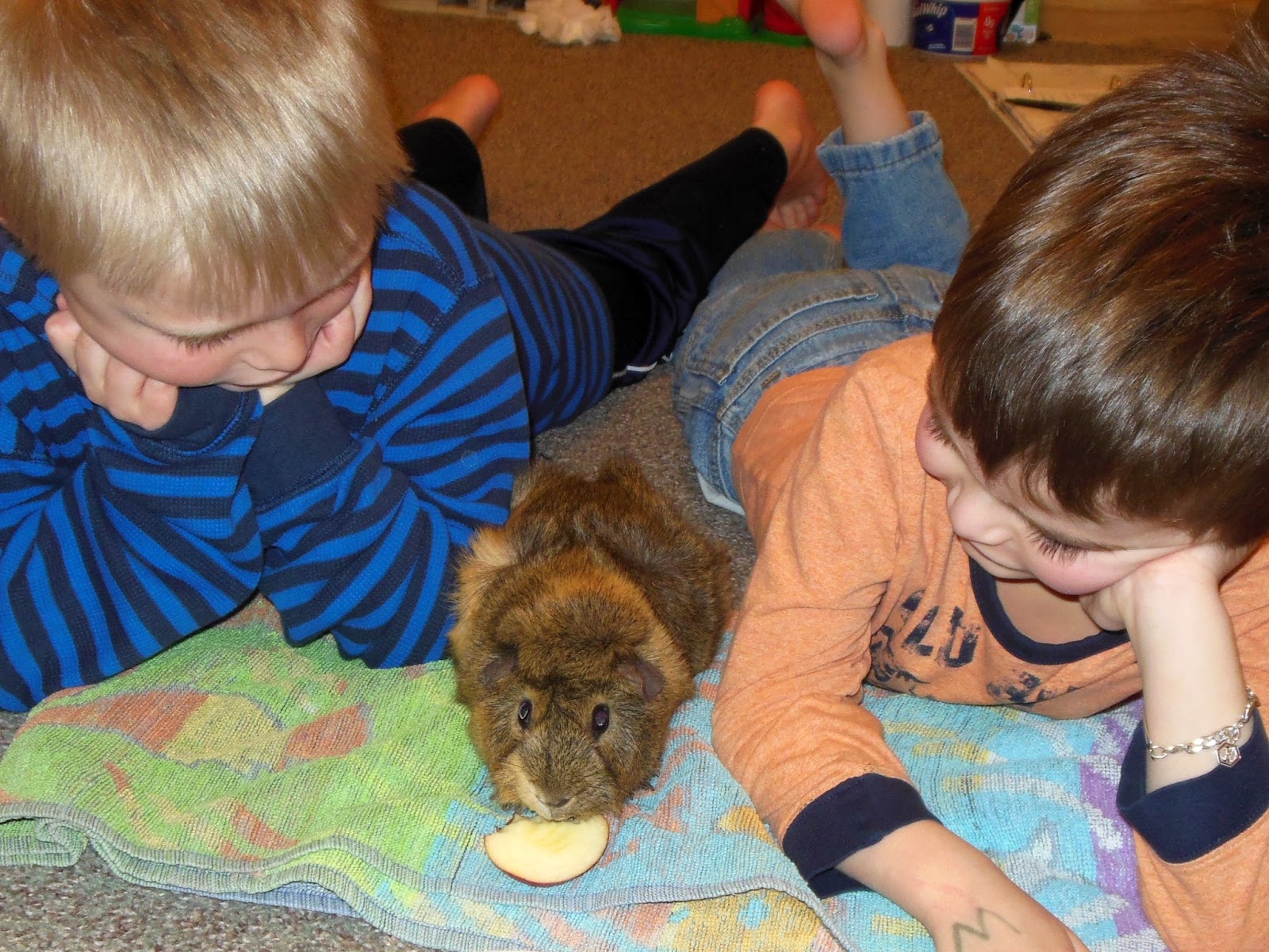 Autism Art Project: Adopting a Guinea Pig