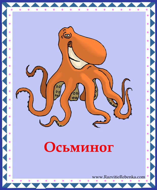 слово осьминог. осьминог по англ. спрут английскими буквами. осьминог по английски. осьминог по английскому.