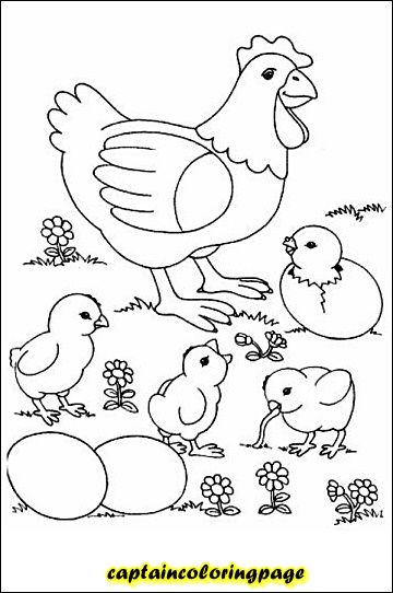 Coloring book pdf download