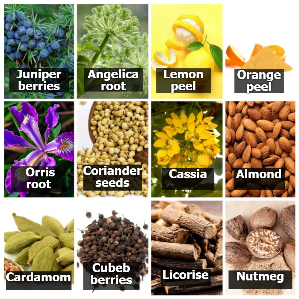 Gin processing Botanicals used in gin distillation