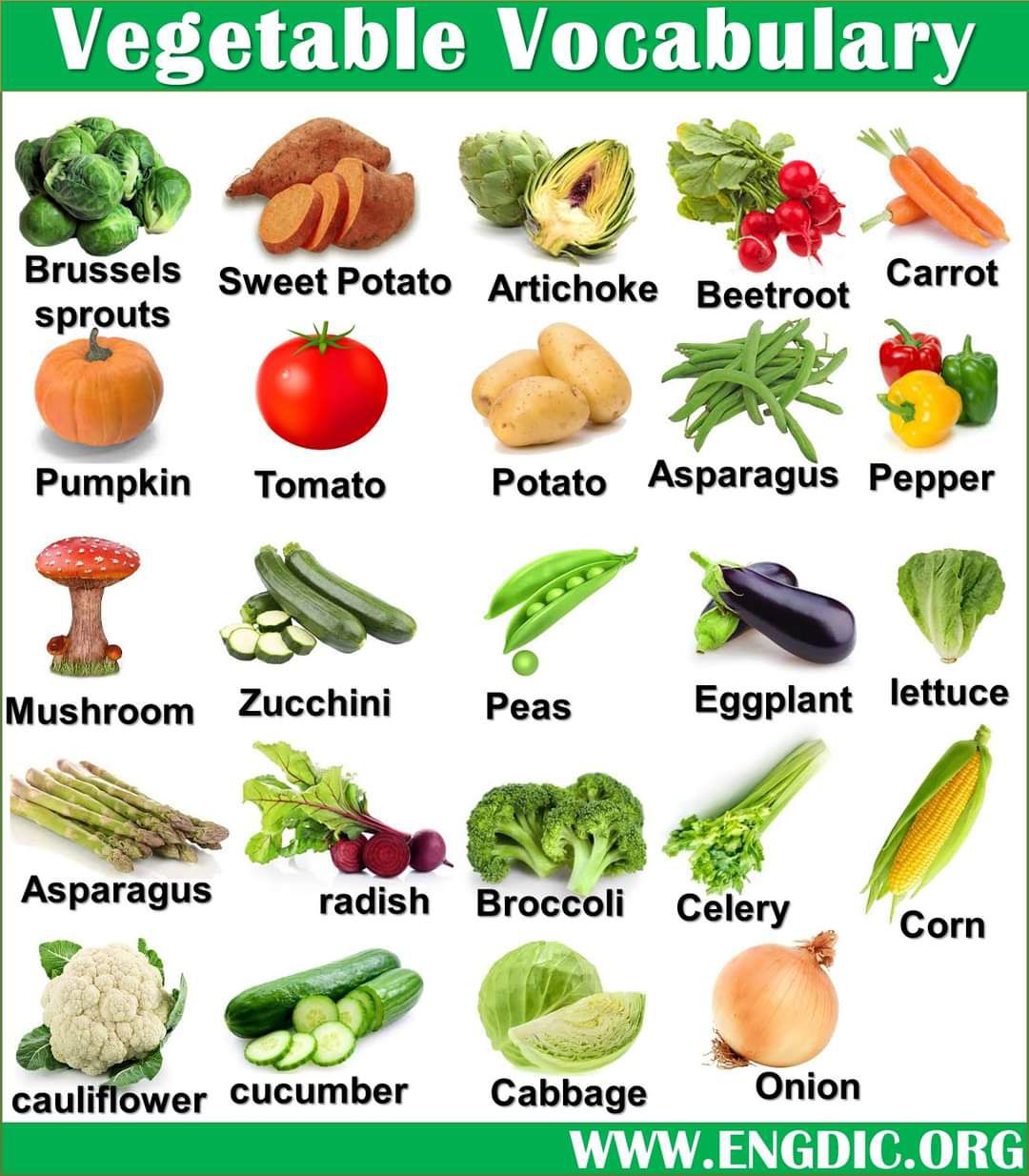 Vegetables list. Овощи на английском. Vegetables по английскому. Овощи перечисление. Вокабуляр овощи.